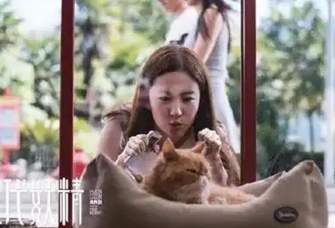 盘点出演过狐狸精的女星们,个个美得倾国倾城,有妖艳有清纯
