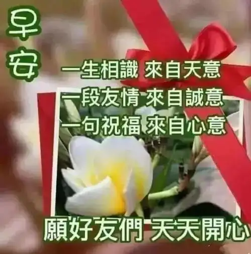 最新版非常漂亮的早上好表情图片温馨早安心语语录
