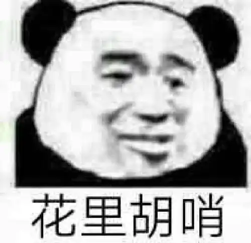 熊猫头表情包我是个网红,回复你怕炒作
