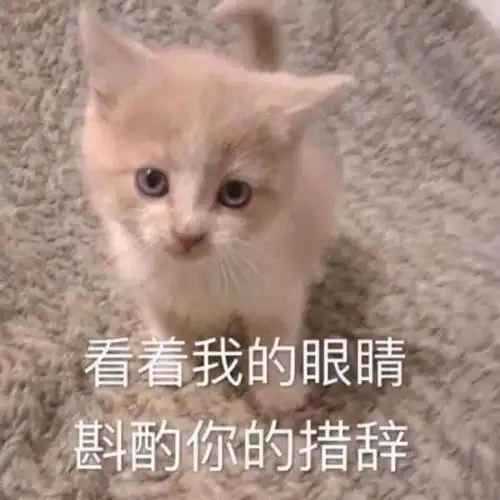 王俊凯这个东北农民揣看乐我了
