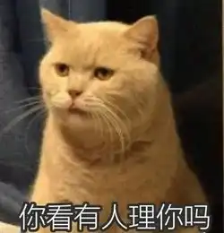 还记得那只活成表情包的暗中观察喵嘛
