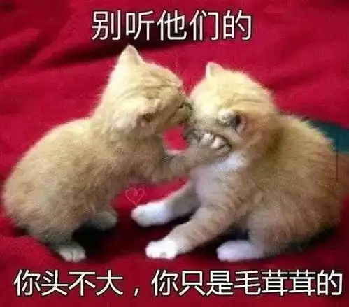 极限挑战张艺兴来这个即将要办演唱会的城市踩点了
