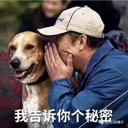 邵东最哄人的17句话,中间一条曾经骗过所有的邵东人
