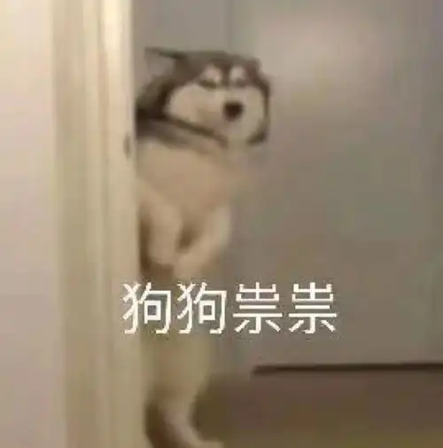 家收藏夹
