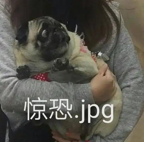 沙雕表情包记到,劳资爱你
