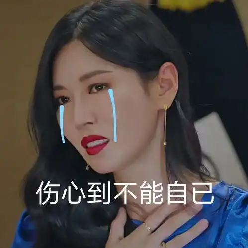 表情包伤心到不能自己
