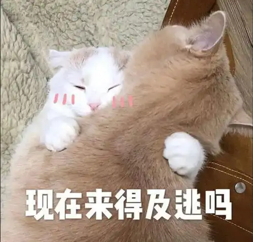 皮到没边的搞怪文案超可爱哦
