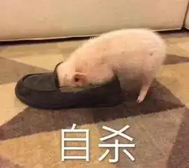 台湾新闻的幽默感,看完笑喷了哈哈哈哈哈哈哈哈哈哈哈哈哈哈哈
