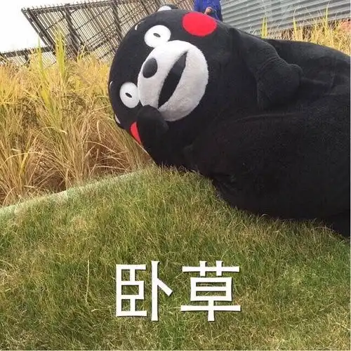 小陈总来101是不是被下蛊了