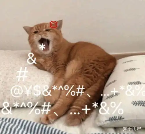 洛少爷是男是女
