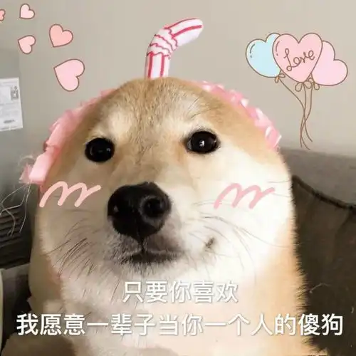 逗女朋友开心的沙雕表情包
