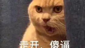 拥有吸猫体质是什么体验
