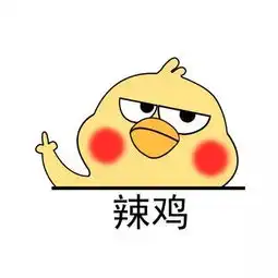 绝不会回购的十大雷品第2个最辣鸡
