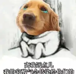 双十一过去了,大家都来看看金毛这些表情包是不是你们本人
