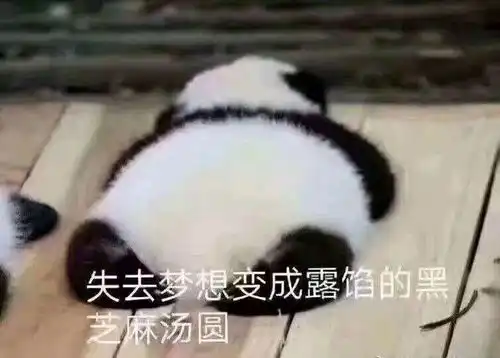 三玖天下第一冲鸭表情包熊猫篇
