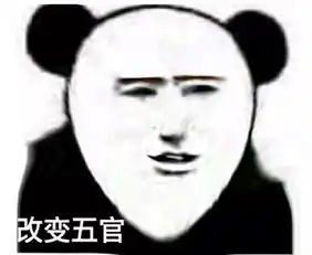 绝美熊猫头了解一下
