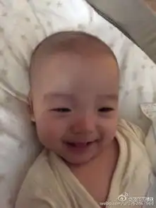 范玮琪晒双胞胎儿子萌照兄弟俩表情逗趣可爱十足
