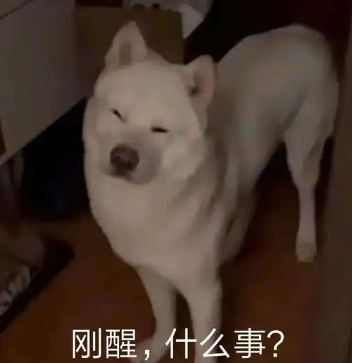 e句话刘亚仁男友试图潜逃海外,盖茨再爆婚外情