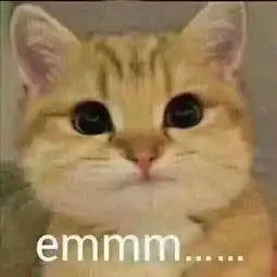 性价比高的良心猫粮有哪些推荐
