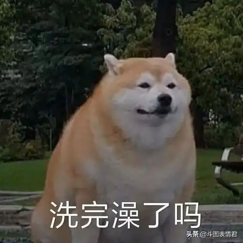 让一让挡到我看小姐姐了
