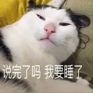 懒人不适合养狗这几种狗狗了解一下

