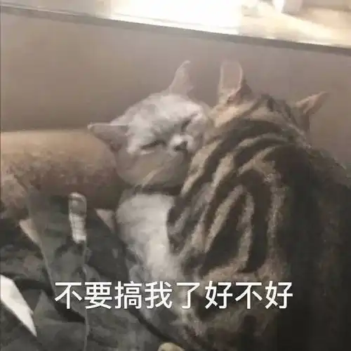 沙雕表情包你怎么比牛还牛
