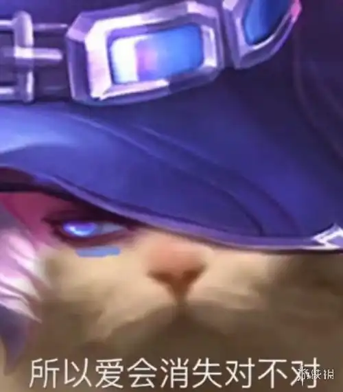 王者荣耀猫咪表情包一览王者荣耀猫猫表情包汇总游侠手游
