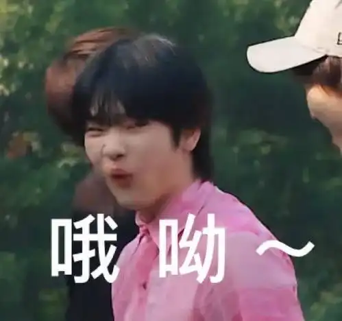 表情包斗图表情包,快存
