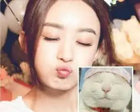 明星和动物撞脸tfboys萌萌哒,唐嫣最吓人,鹿晗简直逆天了

