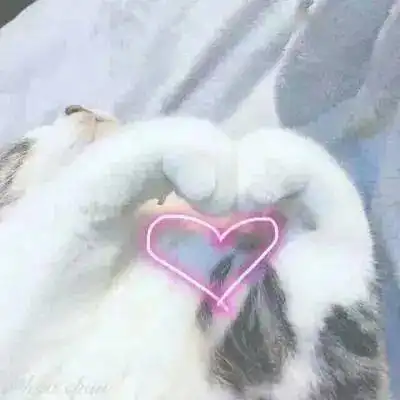 小猫半夜扰人乱叫,究其原因是
