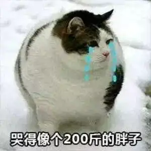 一夜涨粉100多万,美妆博主骆王宇是怎么做到的
