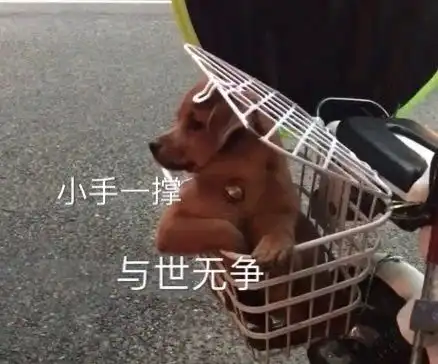 别人的日志故事,娱乐及其他

