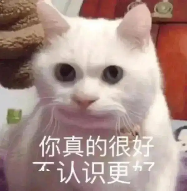 抖音热门表情包在查资料如何让你做我女朋友