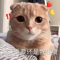 电竞少女必存的100张表情包第六弹
