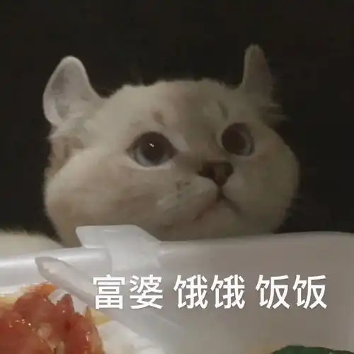 神回复你第一次恋爱时,做过什么傻事儿哈哈哈,一开口就是老单身了
