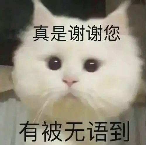 可爱萌宠沙雕表情包不要贴贴贴贴危险容易密接
