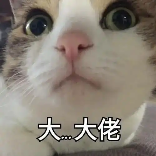 哔哩哔哩专栏
