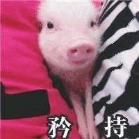 b站推出剪辑app必剪,是想不开了吗
