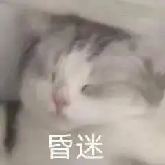 梨绘.的相册喵

