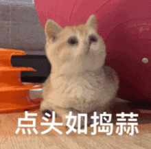 15个看完让你涨姿势的动图就算你老司机,也总有你不知道的冷知识...
