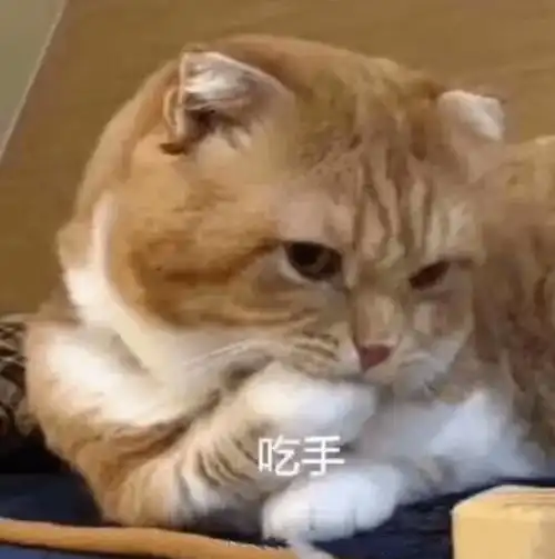 手指划破了,放到嘴里嘬可消毒真相是
