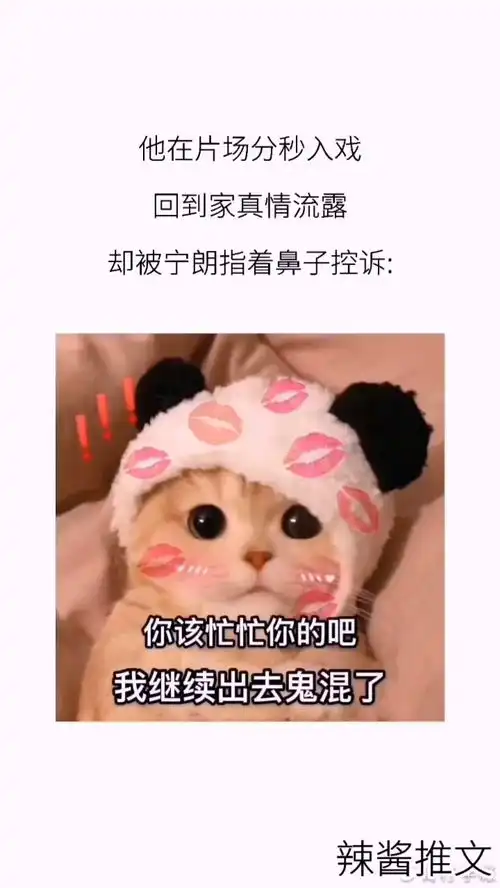 完结小说每日推文甜文沙雕甜安利表情包
