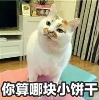 你算哪块小饼干什么梗你算哪块小饼干表情包分享
