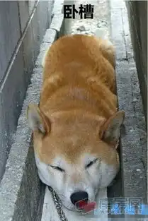 一周楼市播报房价终于往下飙
