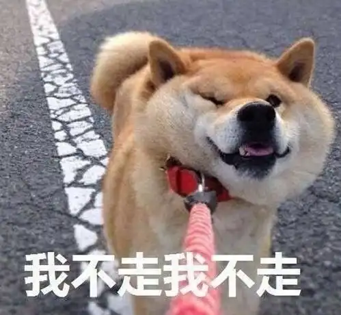 每次逛知乎,都收了好多表情包,来个表情包集合地吧,欢迎大家踊跃投稿不介意的话去掉水印,食用更美味
