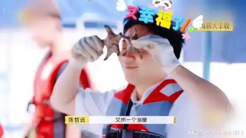 看到陈哲远满脸写着还能这样,怎么能这样的表情,真的很
