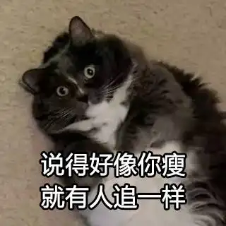 变胖后的生活有点烦,但是你要敢嘲笑我,看我不怼死你
