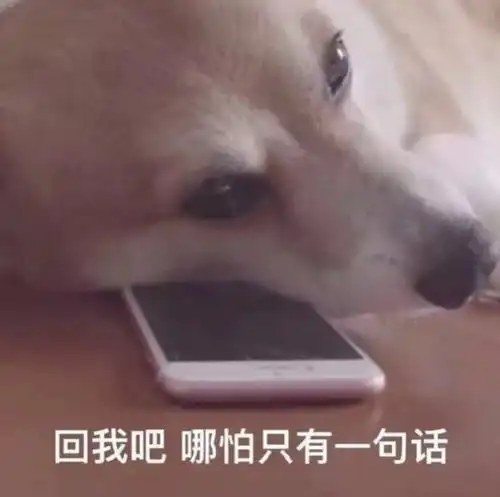 你当过舔狗吗内容过于真实,谨慎阅读文末福利
