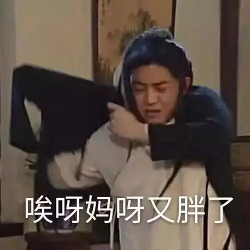 有哪些武林外传表情包
