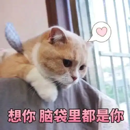 十条笑话你做一套卷子,就能考上清华啊
